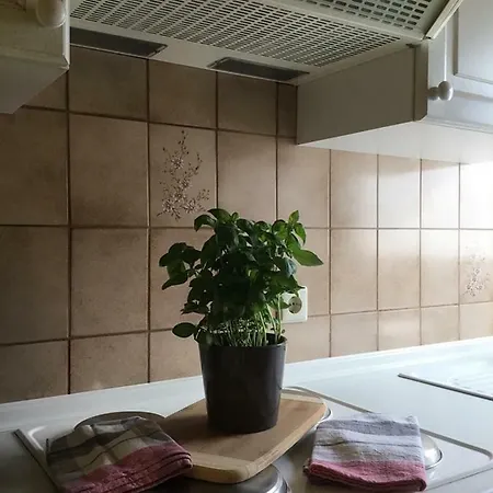 Altes Fachwerkhaus Mutter Mosel Apartment Löf