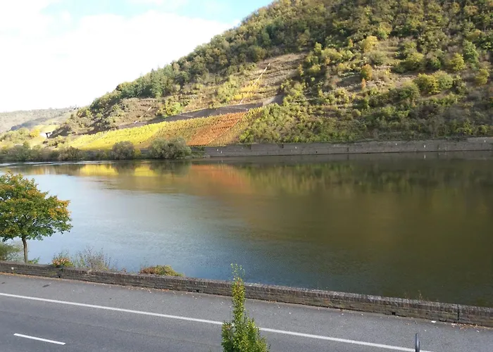 アパート Altes Fachwerkhaus Mutter Mosel *