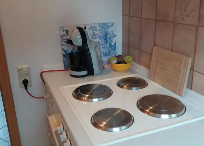 アパート Altes Fachwerkhaus Mutter Mosel Löf