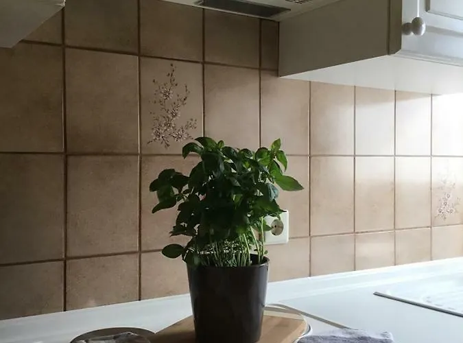 Altes Fachwerkhaus Mutter Mosel アパート Löf